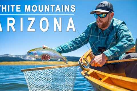 Fly Fishing the White Mountains of Arizona - The Ultimate Hidden Gem || Episode 1