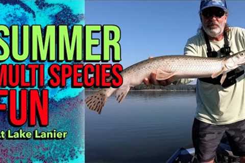 Summer Multi Species Fun At Lake Lanier #lakelanierfishing2023  #fishing