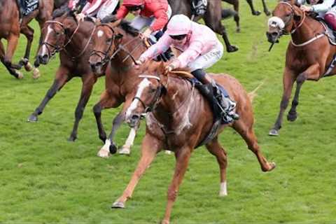 'I just can't believe it!' - Live In The Dream stars in Nunthorpe Stakes thriller