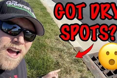 Easy FIX for Dry Spots in Your Lawn