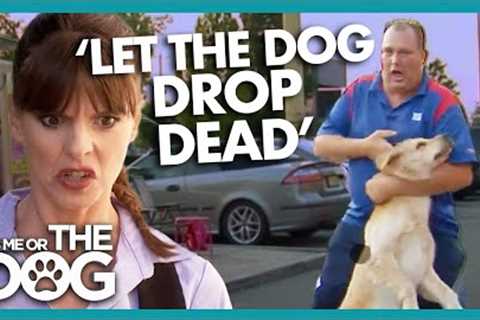 Victoria Horrified by Dog-Hating Owner | It's Me or The Dog