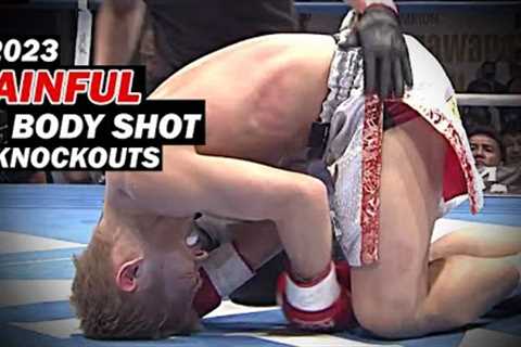 Most Painful Body Shot Knockouts in MMA 2023