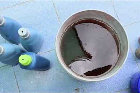 || MAKING A MOCKTAIL DRINK FOR MY PLANTS || FERTILIZER FOR PLANTS ||
