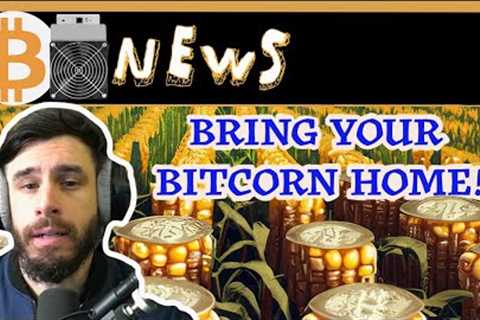 Bitcoin Price Drop Explained