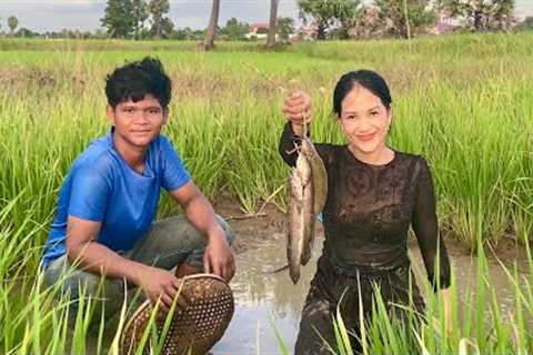 Catch Fish On The Paddy Field Cook Bok-Krasang Fish {Catch Clean &amp; Cook}