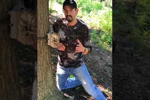 Mark Peterson - Trail Camera Tips | Optimal Distance