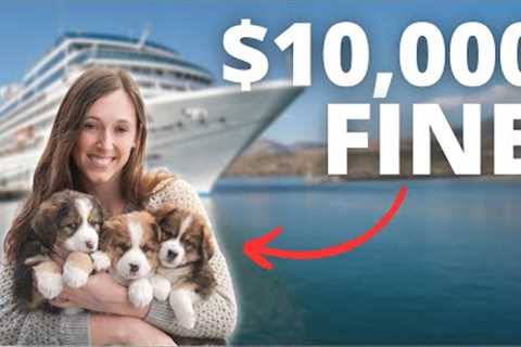 CRUISE NEWS | Alaska Cruise Passenger Pays Ultimate Price | Shocking Fine