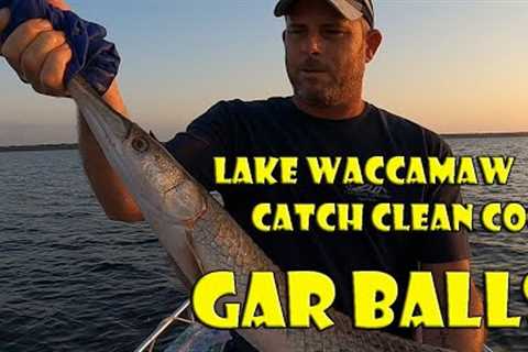 Lake Waccamaw Longnose Gar Fishing (Catch Clean Cook)