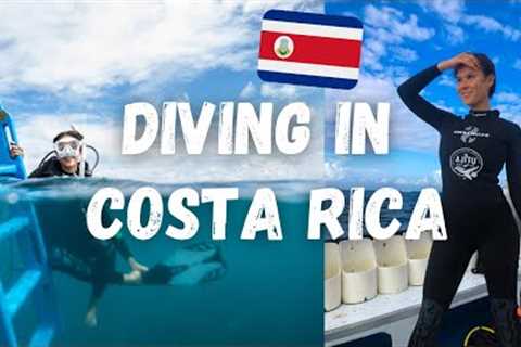 DIVING 🤿  IN COSTA RICA 🌴  | Isla del Caño Dive Tour  | Sharks 🦈