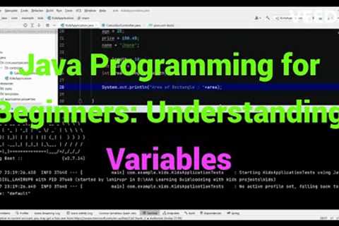 Java Programming for Beginners: Understanding Variables
