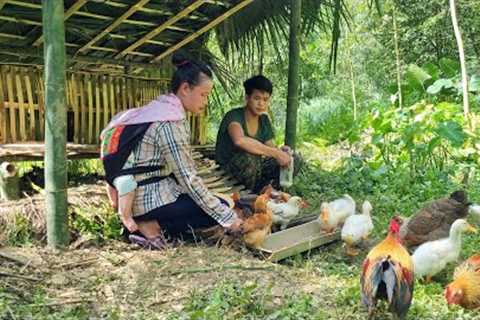 Build a farm with his wife, Build a chicken coop with his wife, FULL VIDEO