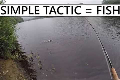 193. People Ignore Fly Fishing This Method