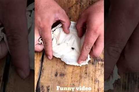 Most funny video chinese 😂 ~ mini wood toy-woodworking art skill wood / hand Crafts/ #shorts