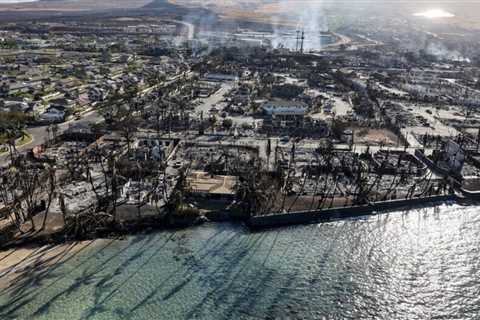 Hawaii Fires: What you can do to help