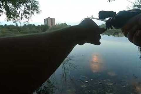 Fishing a quick evening session | Lake Aquitaine, Mississauga