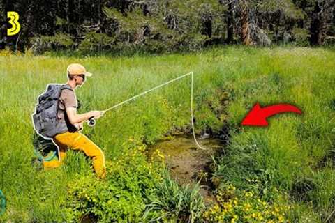 Fly Fishing for the most INCREDIBLE Trout on the Planet! || California Gold Pt 3 (Golden Trout)
