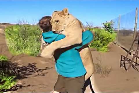 7 Most Heartwarming Friendships Between Animals