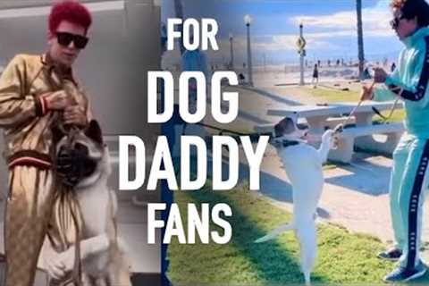 For Fans of Dog Daddy Only: This is What We are Doing to “Dog Daddy “ and Why