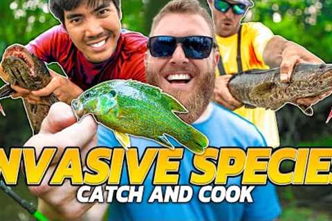 VICIOUS INVASIVE Fish CATCH CLEAN COOK! ( Taste Test )