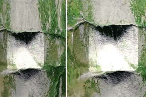 This Expert Just Revealed Something Was Found In The Amazon Jungle &amp; It Shatters Mainstream..