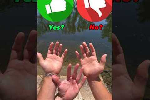 Can I Catch A Fish With My Hands?