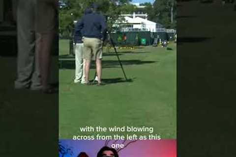 What Kinds of Hole in One | Funny Golf Shot | Golf Highlights