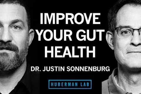 Dr. Justin Sonnenburg: How to Build, Maintain &amp; Repair Gut Health | Huberman Lab Podcast #62