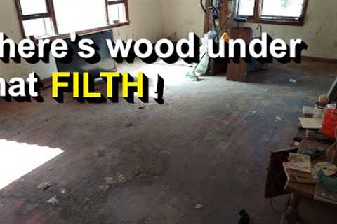 Hoarder Aftermath: Cleaning RUINED hardwood floors