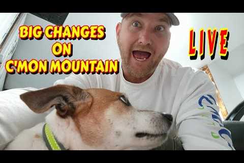 NEW ADDITION TO THE MOUNTAIN |tiny house, homesteading, off-grid, cabin build, DIY, HOW TO sawmill