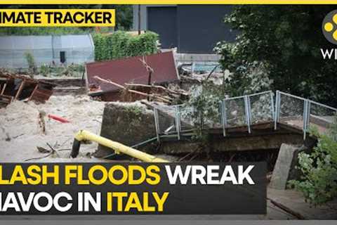 Italy witnesses major drop in mercury post intense heatwaves | WION Climate Tracker