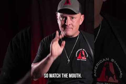 How to Stop a Dog Fight BEFORE It Starts