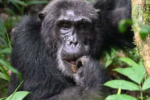 The Best Places to Visit In Uganda