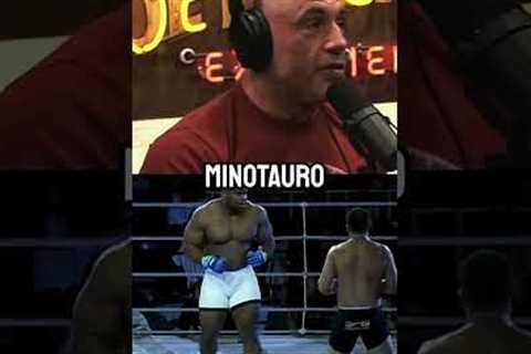 The Biggest MMA Fighter