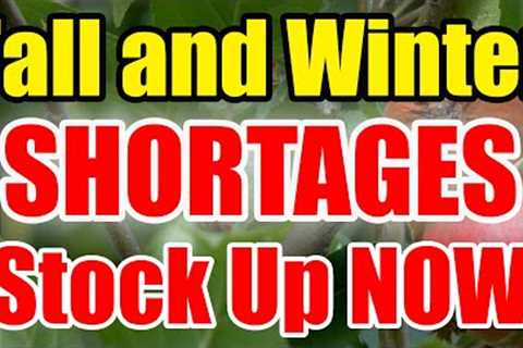 Fall and Winter SHORTAGES COMING – STOCK UP NOW while you CAN!
