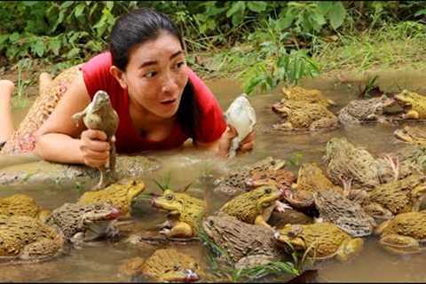 Survival skills- Catch many frog for food- Cooking frog spicy for lunch in forest
