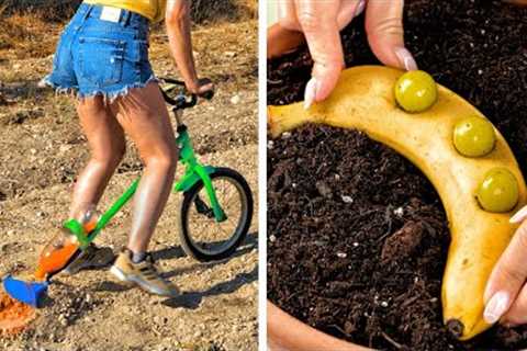 Clever Plant Growing Hacks And DIY Gardening Ideas