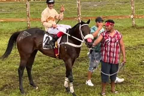 Horse Race People’s Stadium A Class 8 Furlongs August 27, 2023