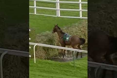 Horse does something extraordinary! #racingtv #horseracing #sport #shorts