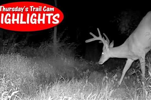 The Neglected Camera at Dry Creek Crossing Scores BIG: Thursday's Trail Cam Highlights 8.31.23