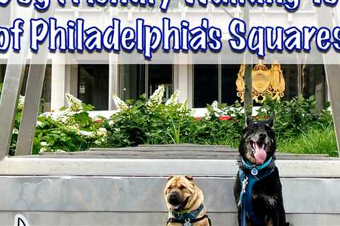 Dog Friendly Philadelphia Walking Tour — The Squares (Parks)