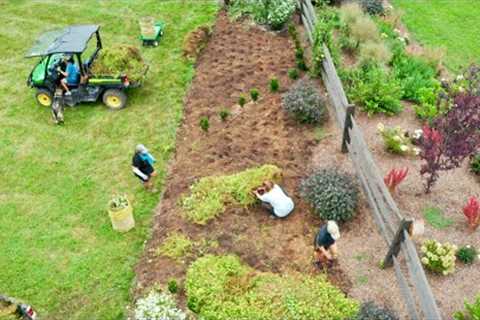 Bye-Bye Petunias! | Gardening with Creekside