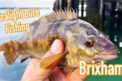 Ultra Light LRF Lure Fishing, Brixham, Devon.