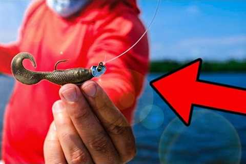 This is The EASIEST Way to Catch a TON of Saltwater Fish