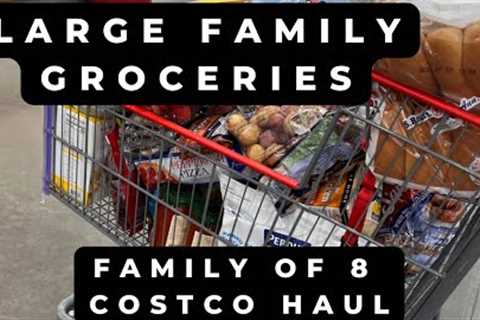 LARGE FAMILY COSTCO HAUL || SHOPPING FOR OUR FAMILY OF 8