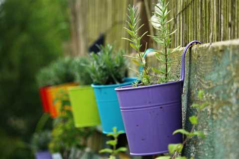 What Factors Should Beginners Consider When Choosing the Right Plants for Their Garden?