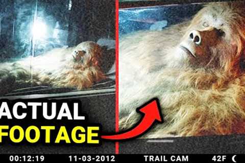 Trail Cam Footage The Internet Can't Seem To Explain