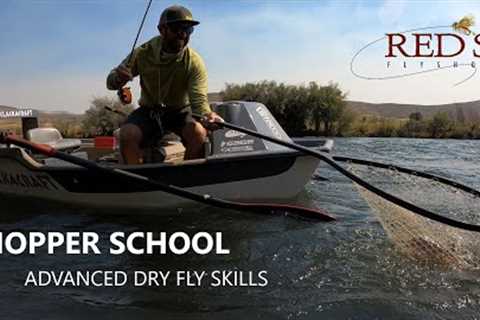 Hopper Fishing School // My Ten Best Tips for Fishing Grasshoppers