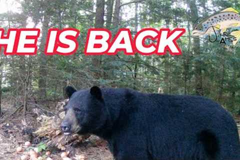 Trail camera highlights He's back