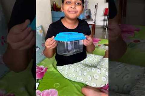 Omg!! Small Aquarium at just rs 99…Abhi kharidlo #fish #aquarium #fishtank #shorts #diy #smalltank