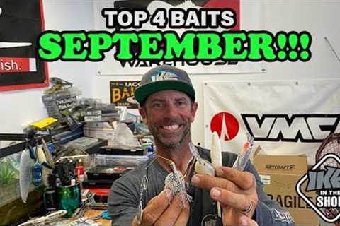 Top 4 Baits for September!!! Fall Fishing Frenzy!!!